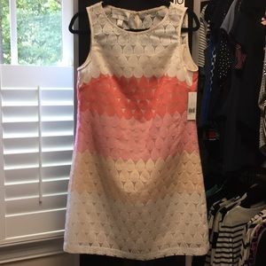 Donna Morgan Gum Multi dress Sz 6 NWT